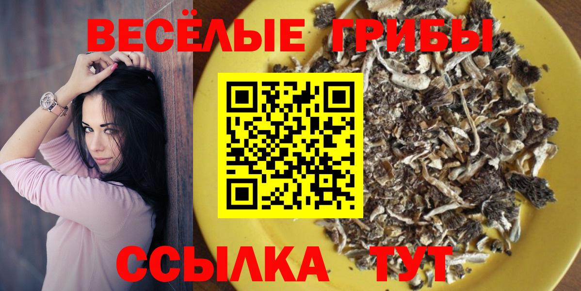 Псилоцибиновые грибы GOLDEN TEACHER  Вход с VPN  где продают   Галлюциногенные грибы MAGIC MUSHROOMS  Малгобек 