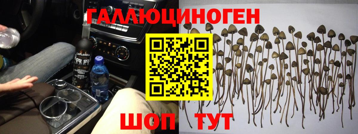Галлюциногенные грибы прущие грибы Малгобек