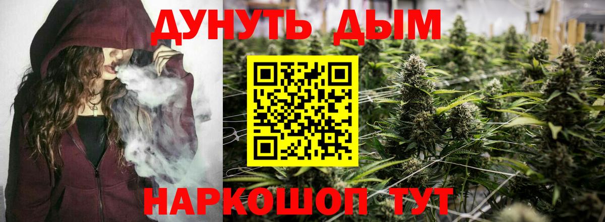 Конопля AK-47  Шишки марихуана планчик  Малгобек  Вход с VPN  Марихуана гибрид  Марихуана Ganja 